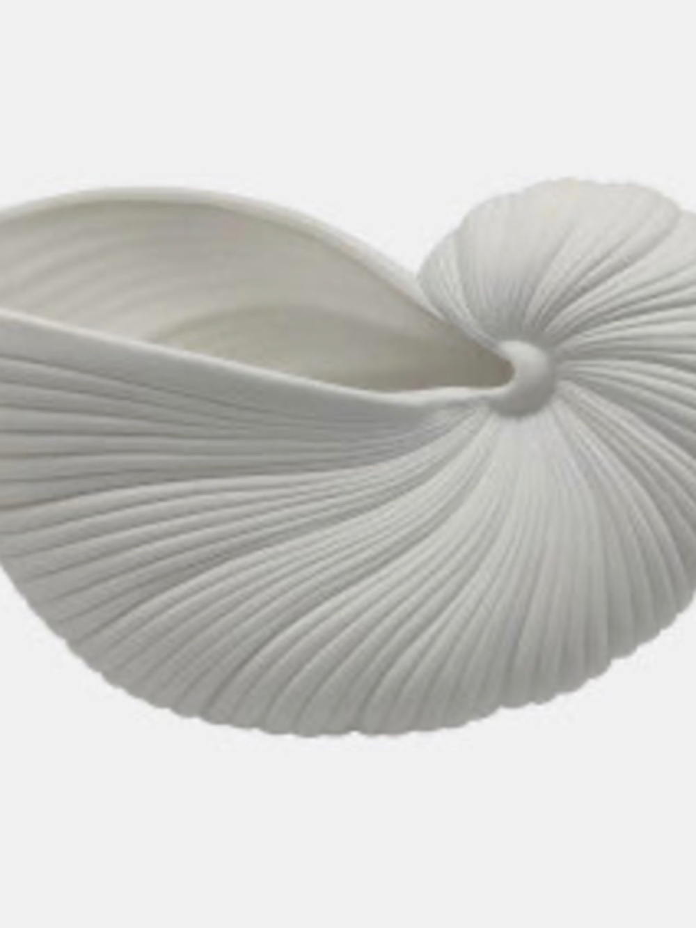 10" Nautilus Shell Planter